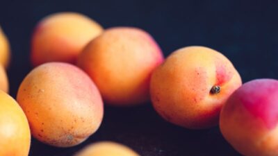 Türkiye'nin kayısı ihracatı yüzde 60