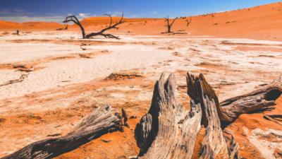 Lorem ipsum gibi yapay metinler