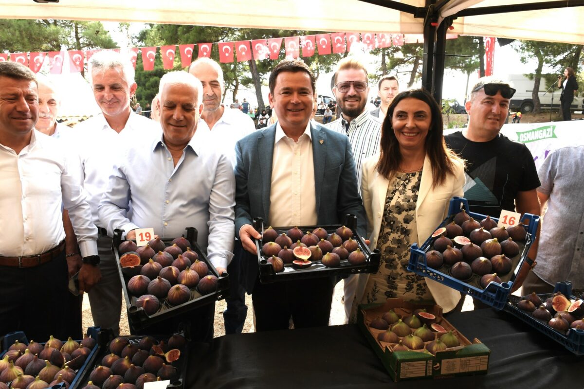 Osmangazi Belediyesi, Avrupa’da saray