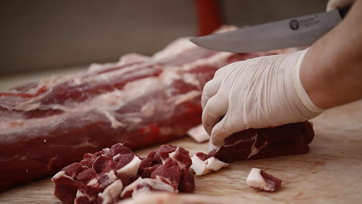 Kastamonu'da 75 kilogram at eti