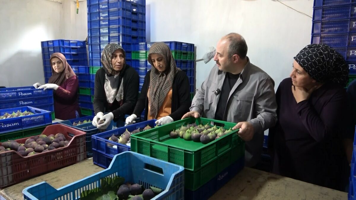 Varank, “Desteklerden çiftçilerimiz de istifade