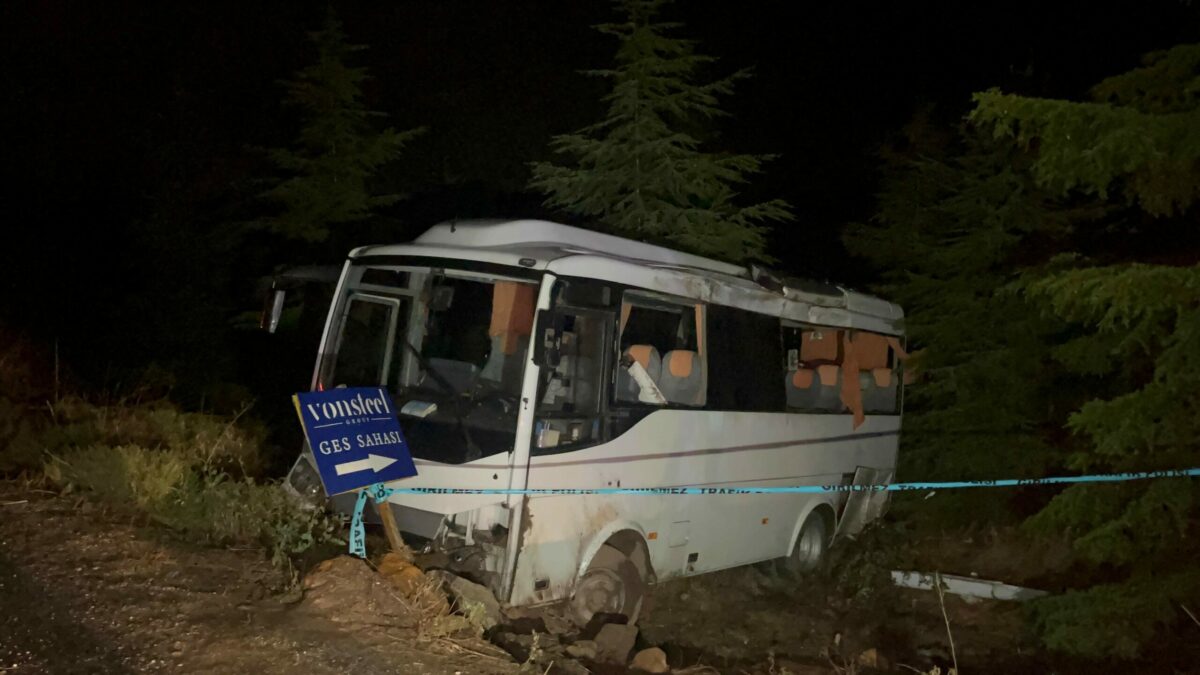 Eskişehir’in Seyitgazi ilçesinin kurtuluş