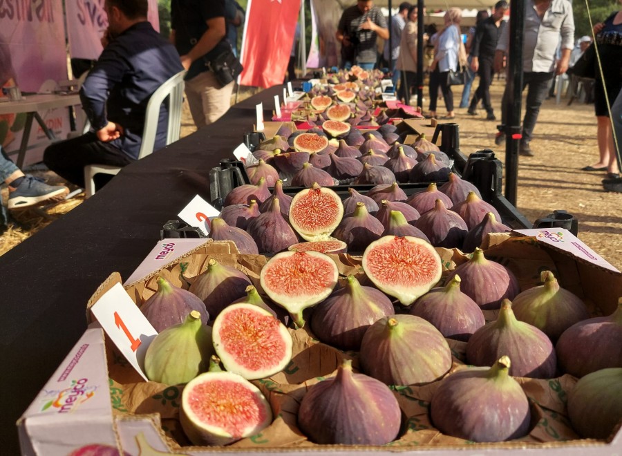 Bursa'nın coğrafi işaretli ve