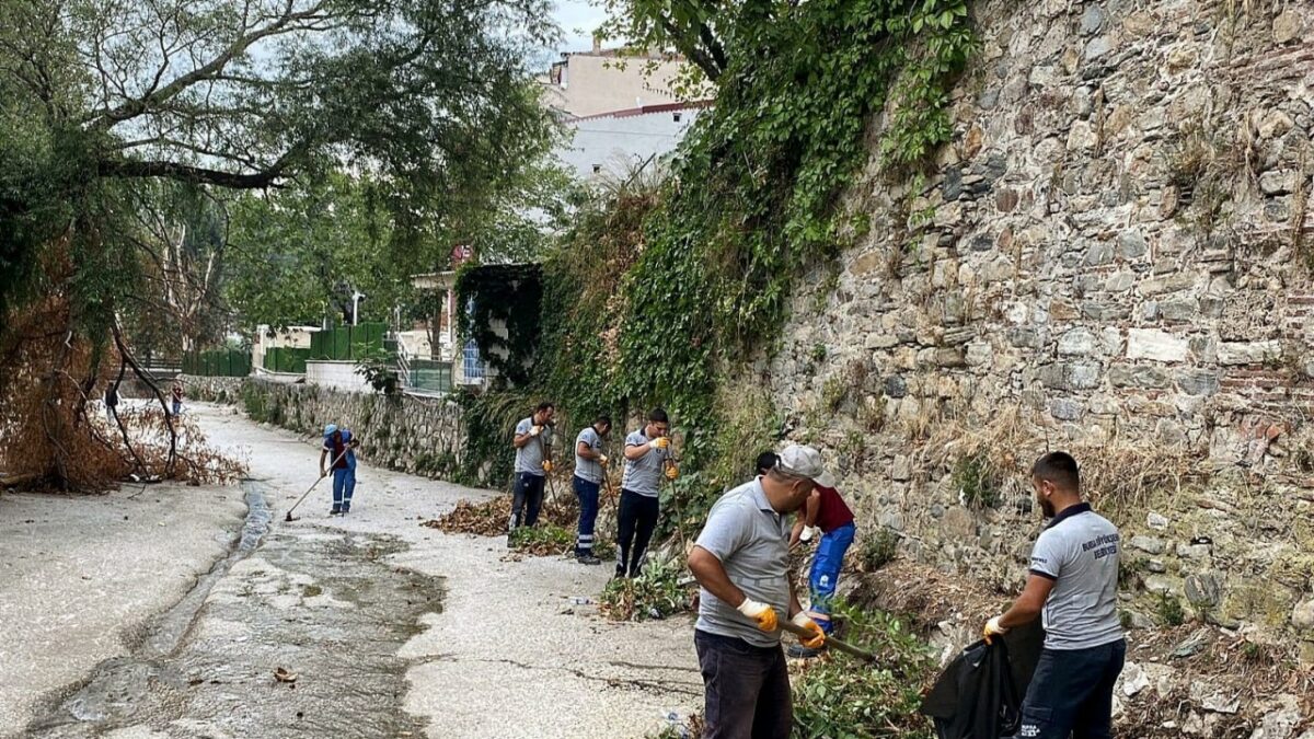 Temiz çevre için güç birliği