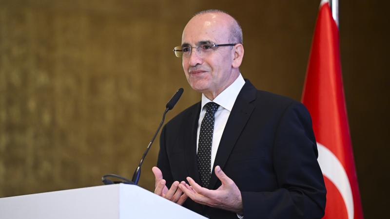 Mali Eylem Görev Gücü