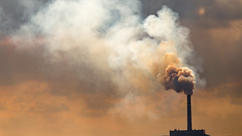 Temiz Hava Hakkı Platformu’nun (THHP)