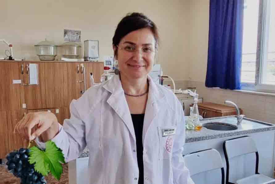 Uzmanlardan uyarı; “Üzümü çekirdeği ile yiyin”