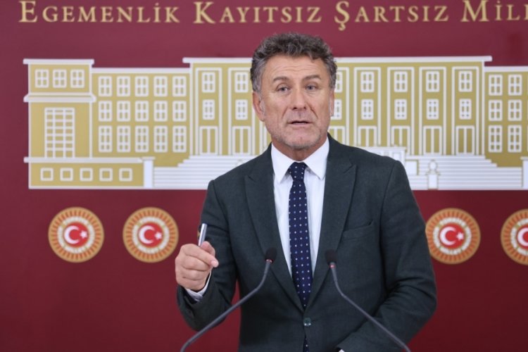 Orhan Sarıbal: Zeytine en az 3 lira destek verilmeli