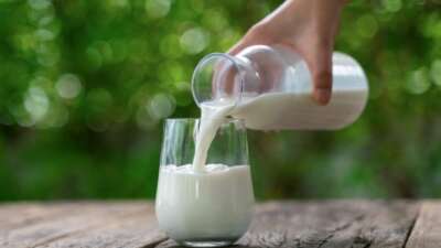 Ulusal Süt Konseyi (USK), litre