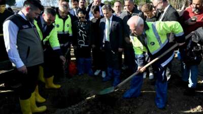 Bursa’da fide fidan desteğinden pazarlamaya
