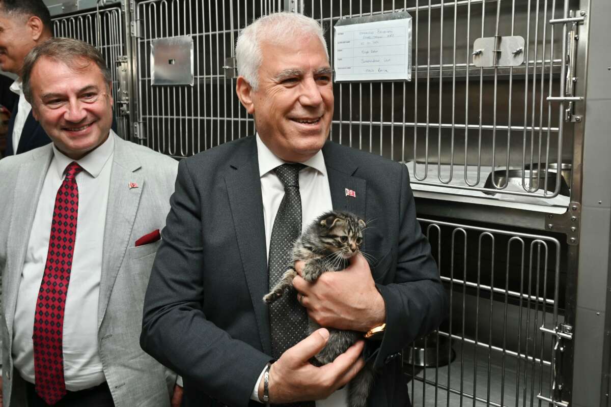 Büyükşehir Belediyesi Sokak Hayvanları Tedavi