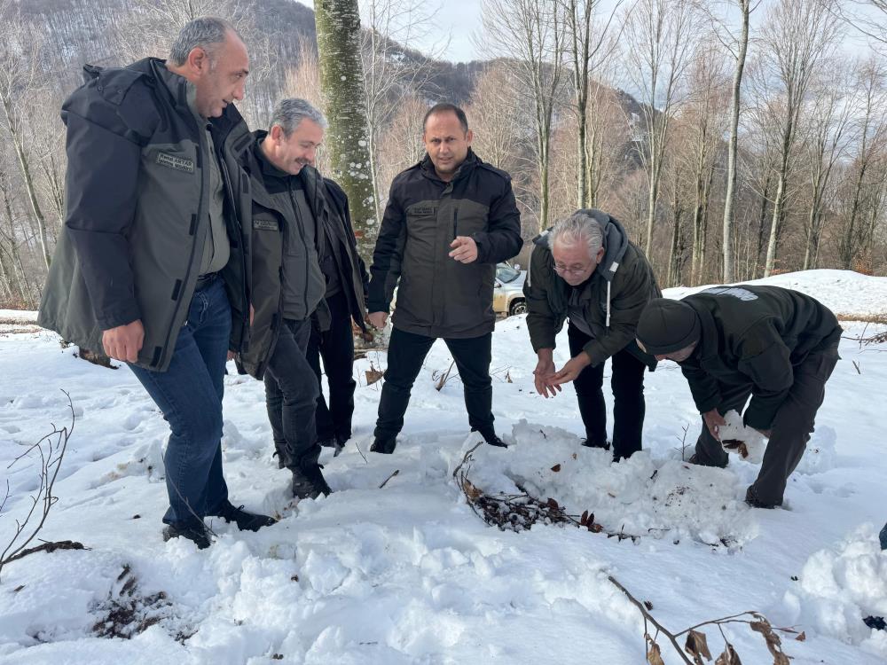 Büyüme hızı yavaşlamış, ekolojik ömrünün