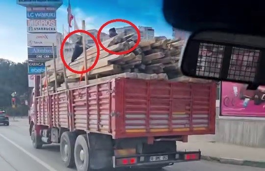 Bursa'da 2 genç, kereste