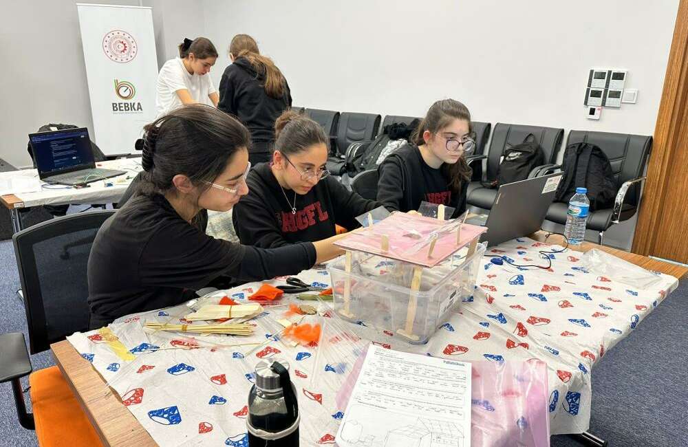 Son yıllarda giderek artan