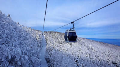 140 kabin ile saatte bin