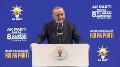 Cumhurbaşkanı Recep Tayyip Erdoğan, AK
