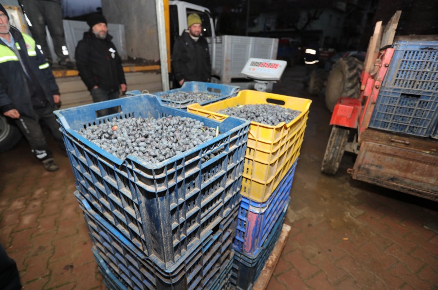 Bugüne kadar yaklaşık 50 ton