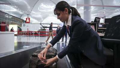 Türk Hava Yolları, bagaj takip