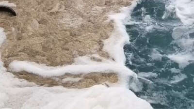 Gemlik Körfezi’nde müsilaj kabusu… Balıkçılar denize açılamadı