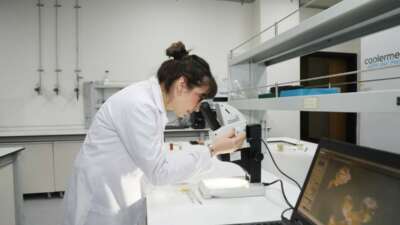 BTÜ’den bağırsak sağlığını destekleyen yeni gıda takviyesi