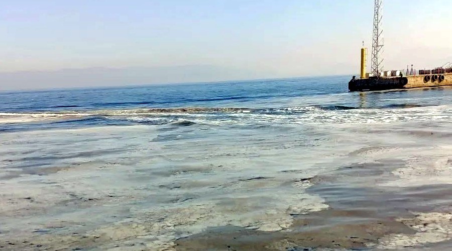 Marmara Denizi'nde çevre kirliliği