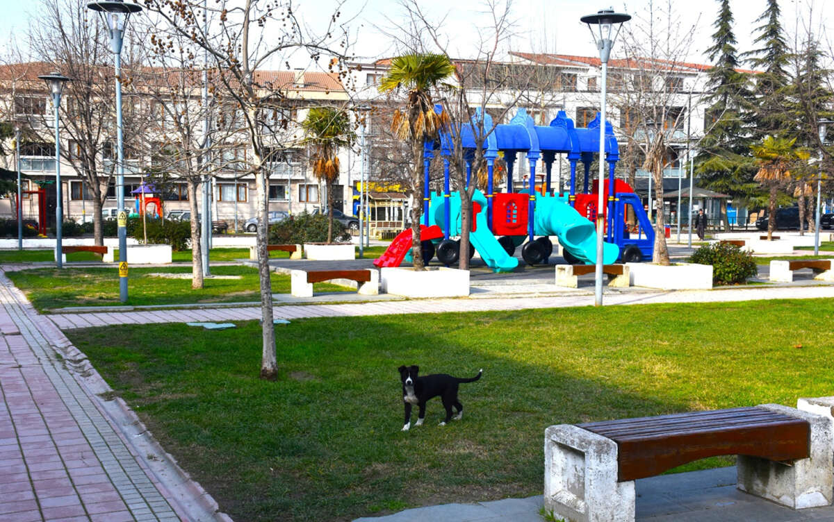Gemlik Belediyesi Fen İşleri ile