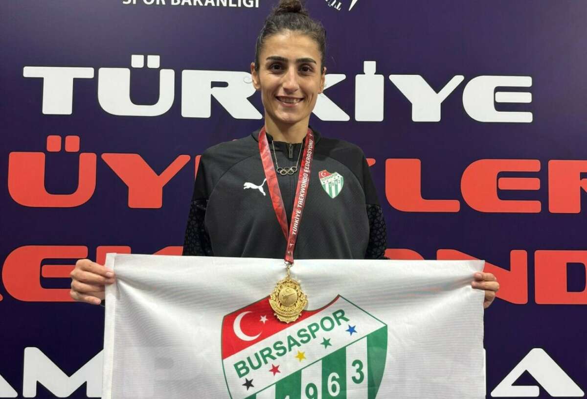 Ankara’da düzenlenen Büyükler Türkiye Taekwondo