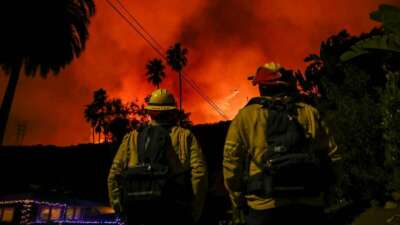 Los Angeles yangınında ölü sayısı artıyor!