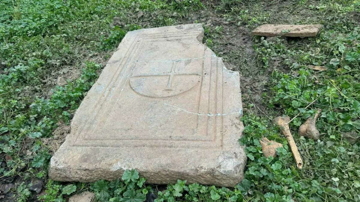 Bursa’nın İznik’e bağlı Hocaköy’de, tarlasını