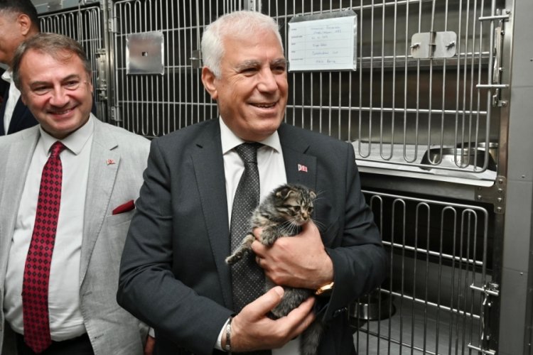 Bursa Büyükşehir Belediyesi'nin sahipsiz