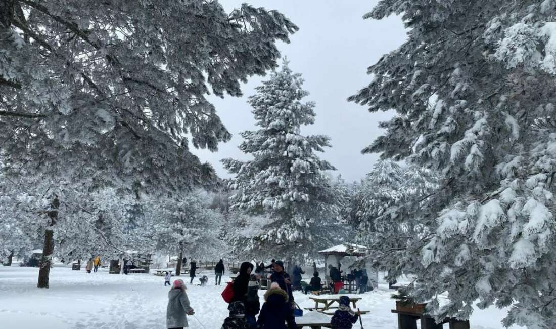 Kütahya’nın Domaniç ilçesinde 1500