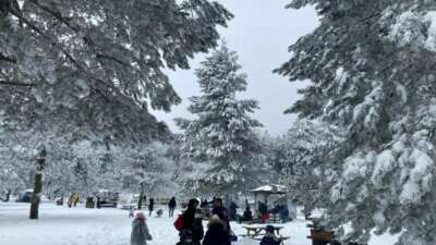 Domaniç’te karda mangal keyfi