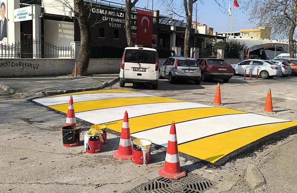 Osmangazi Belediyesi, ilçe genelinde
