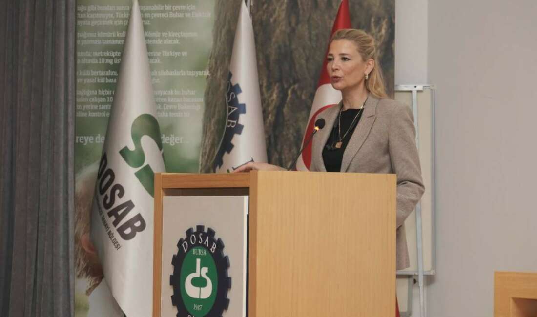 Demirtaş Organize Sanayi Bölgesi