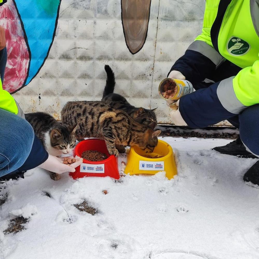 Bursa’da kar yağışı ile birlikte