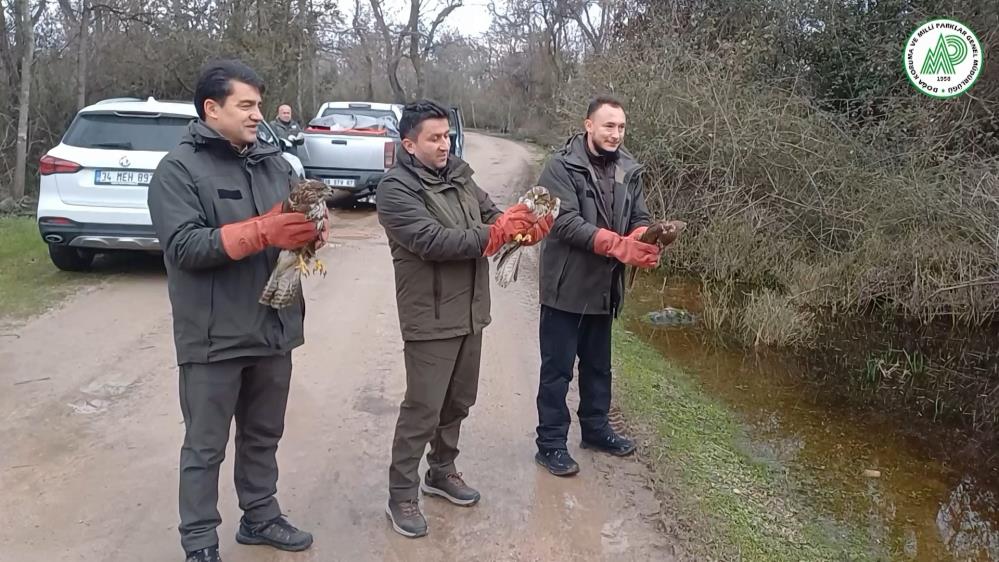 Bursa'da yaralı olarak kurtarılan 3
