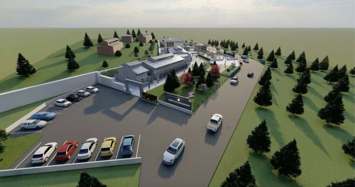 Gemlik Belediyesi patili dostlara sahip çıkıyor