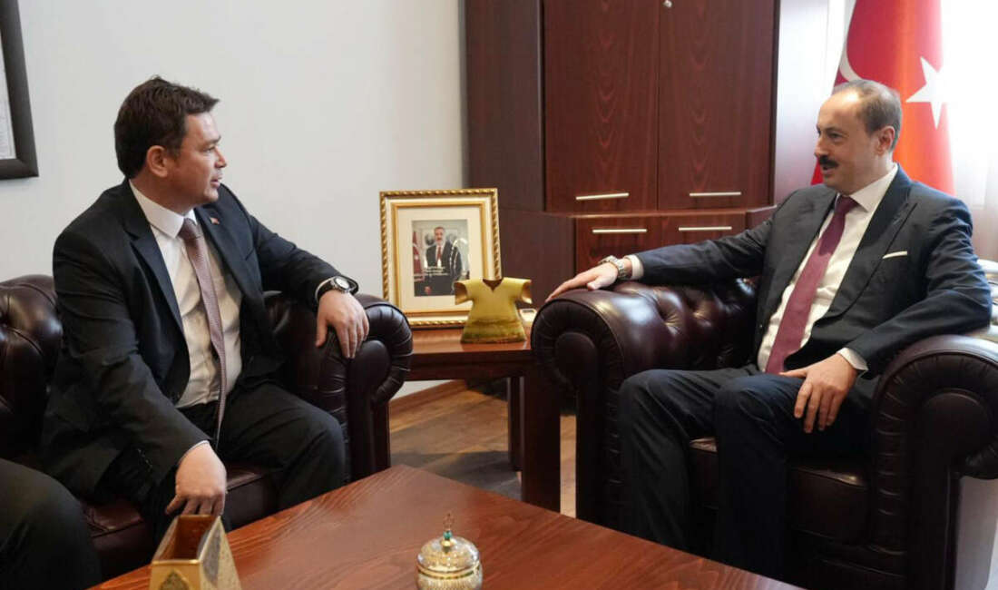 Osmangazi Belediyesi, Balkanlardaki şehirler