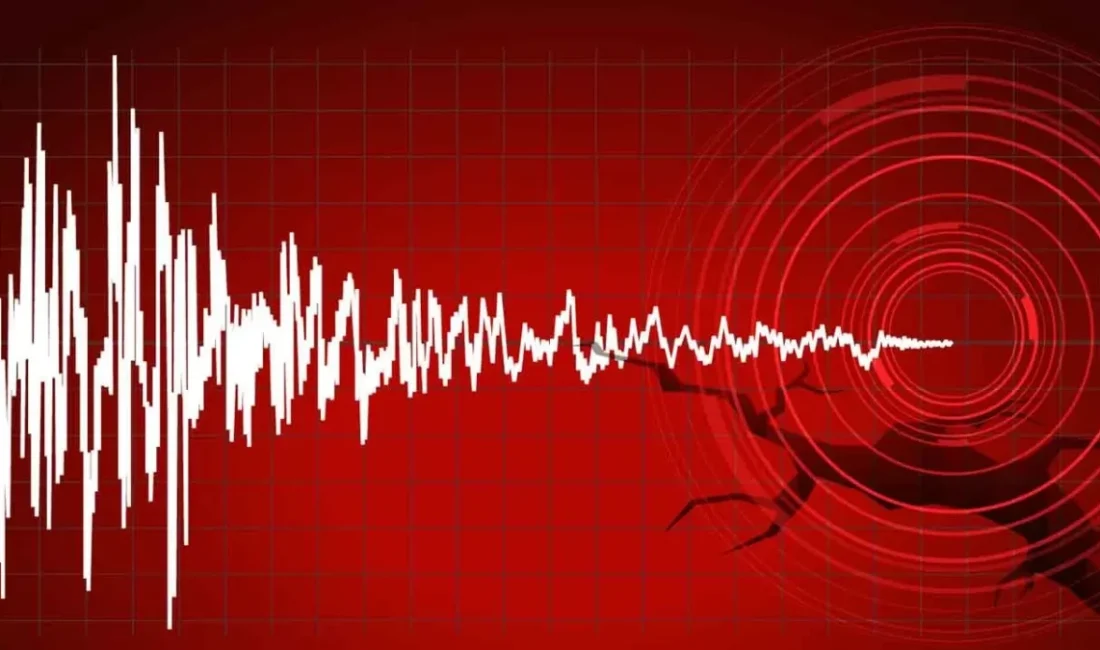 Bingöl'de gece saatlerinde 4.9