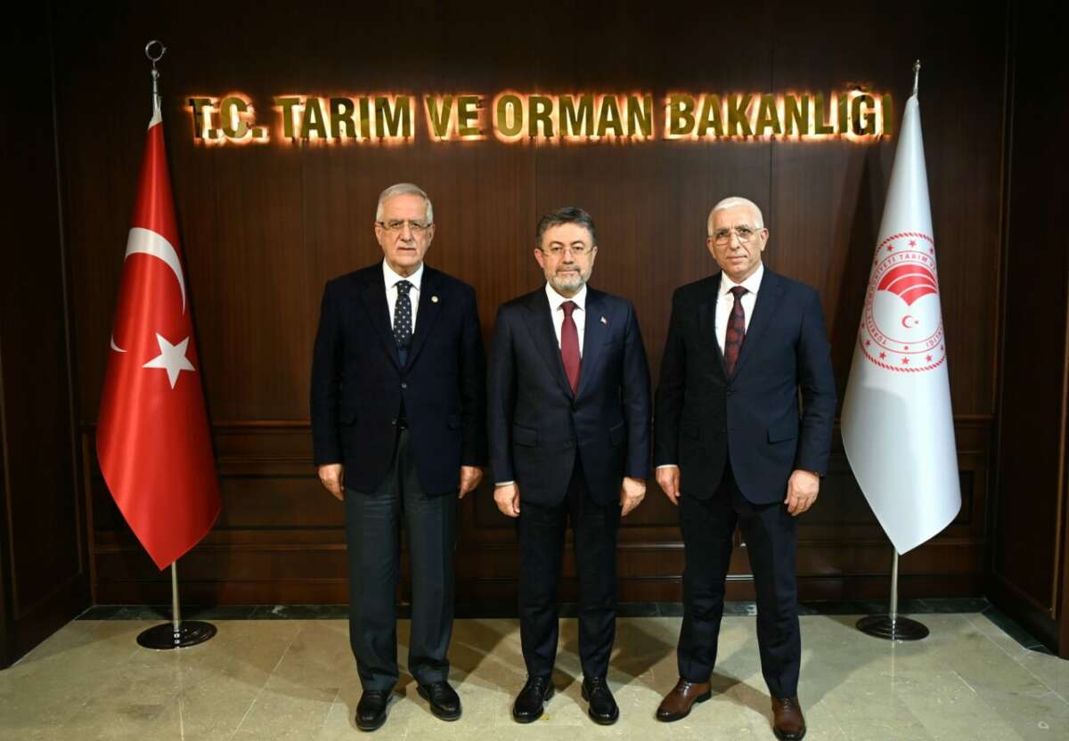 Marmarabirlik Yönetim Kurulu Başkanı Hidamet