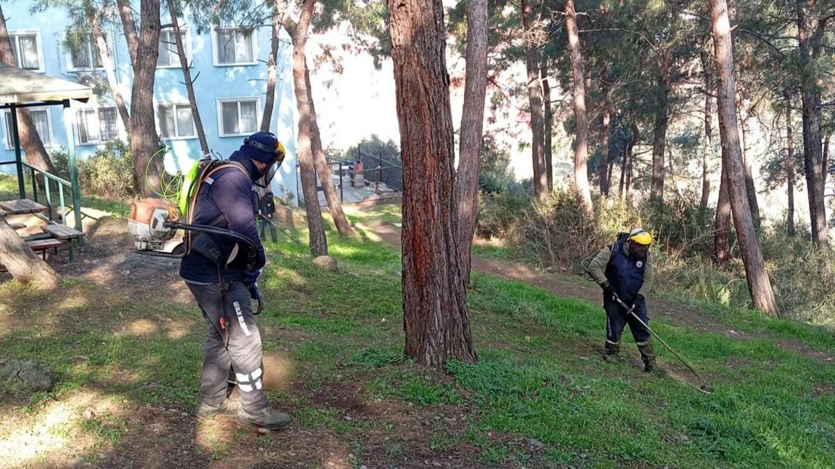 Bursa Gemlik’te Yeşil Seferberlik