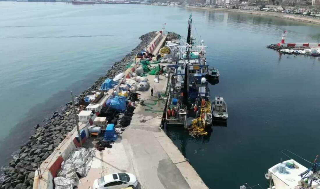Marmara’da müsilaj erken paydos ettirdi