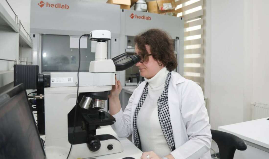 BTÜ akademisyenleri, otomotiv, elektronik,