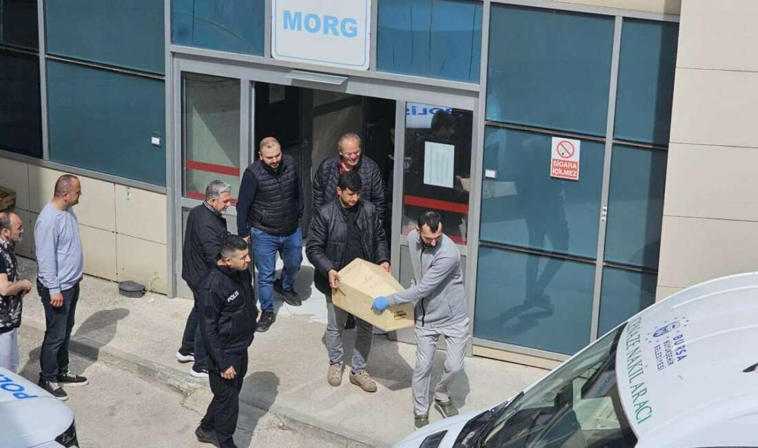 Bursa'nın Orhangazi ilçesinde Solak