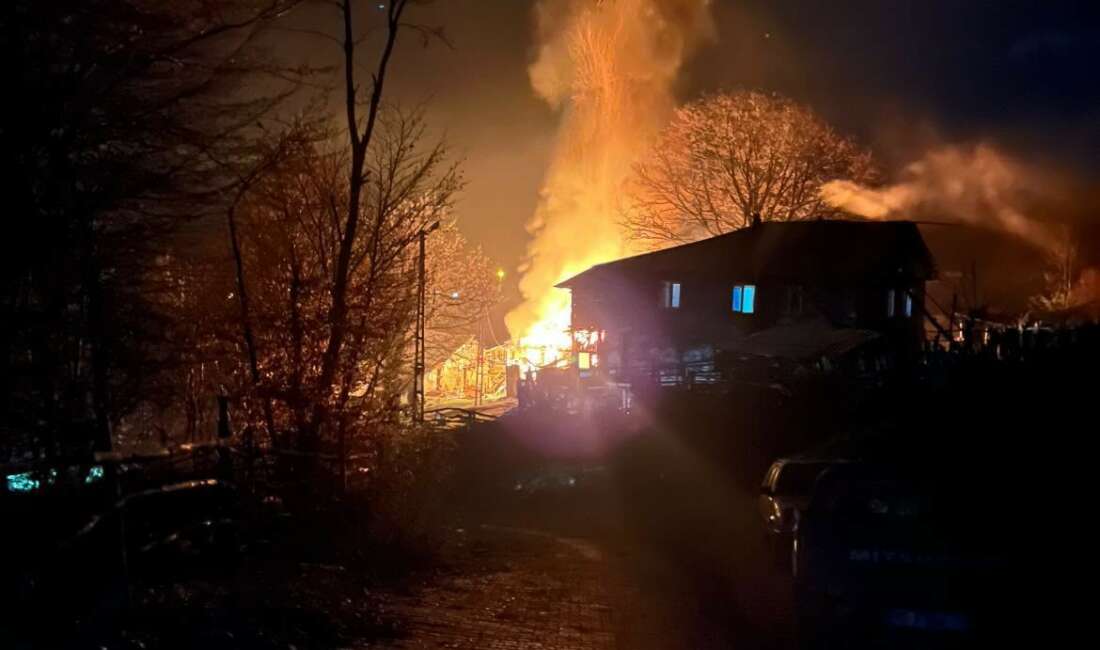 Bursa'nın İznik ilçesinde tek