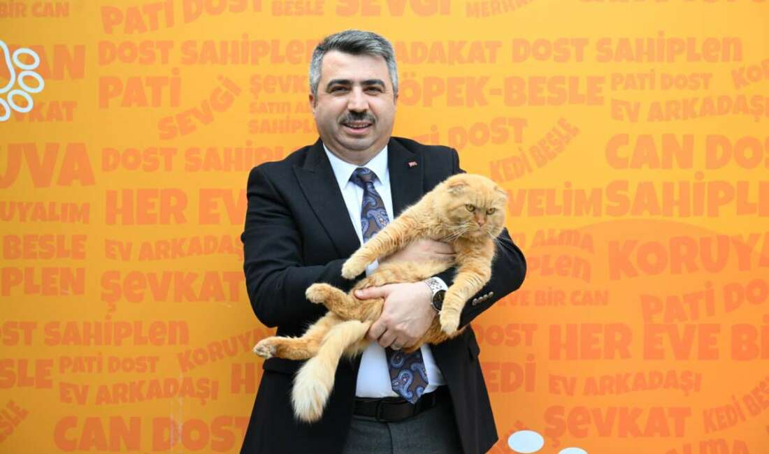 Yıldırım Belediyesi Sokak Hayvanları Tedavi