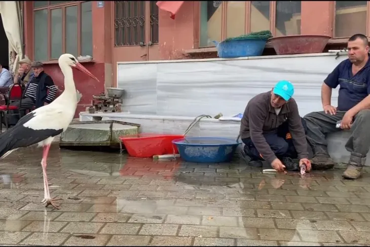 Adem amcanın kayığına konarak