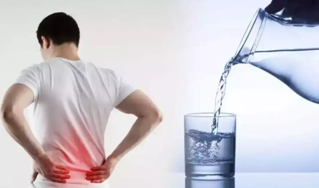 Böbrekler, vücuttan toksinlerin atılmasını