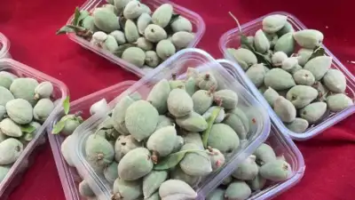 Bursa'da mart ayının ilk haftasında