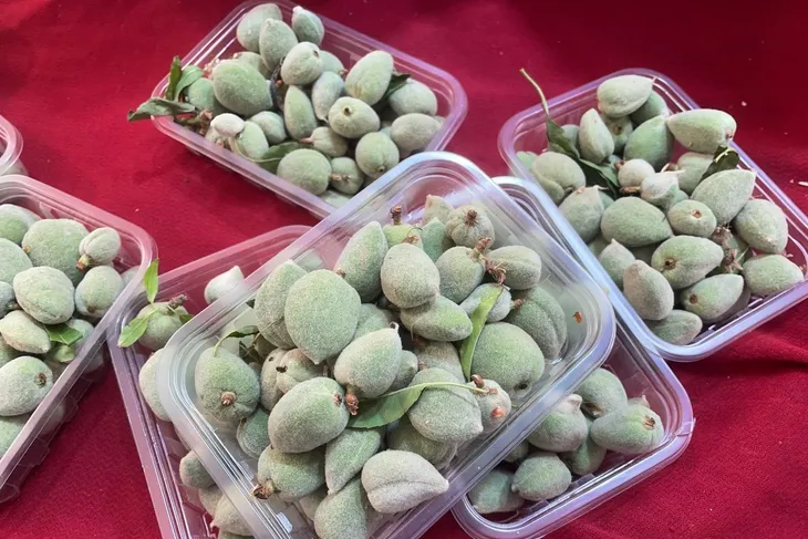 Bursa’da şifa deposu ama fiyatı cep yakıyor Bursa'da mart ayının ilk